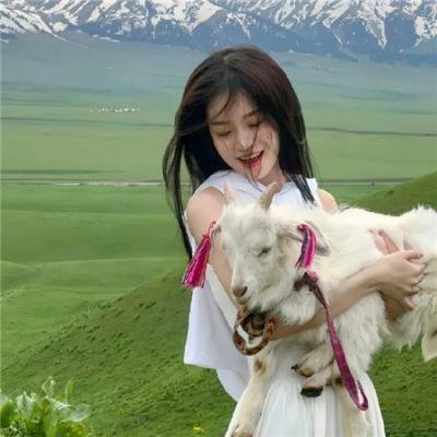 我要怎么感动你